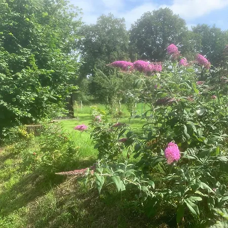 בית נופש Unter Eichen *